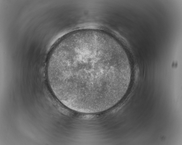 X0000110891166200907301535