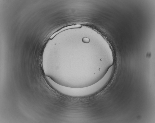 X0000110891169200907301535