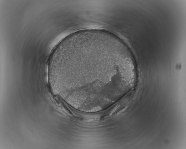 X0000110891171200907301535