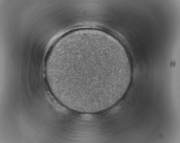 X0000110891172200907301535