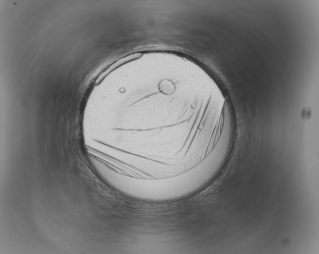 X0000110891173200907301535