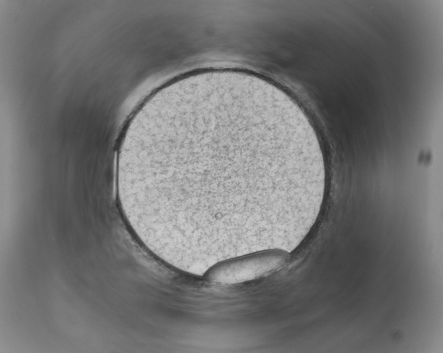 X0000110891175200907301535