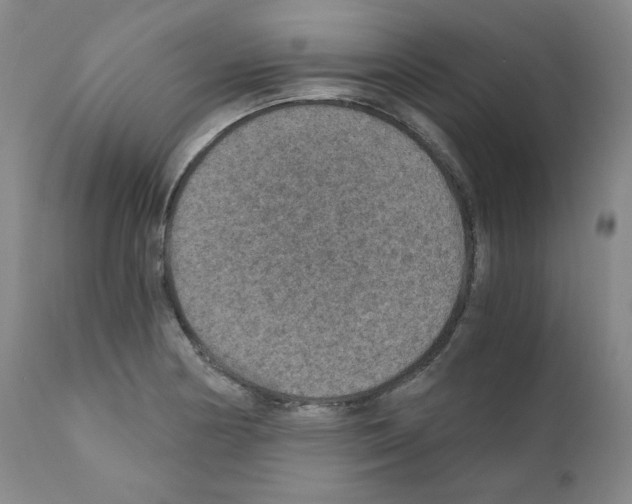 X0000110891178200907301535