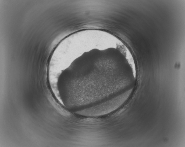 X0000110891179200907301535
