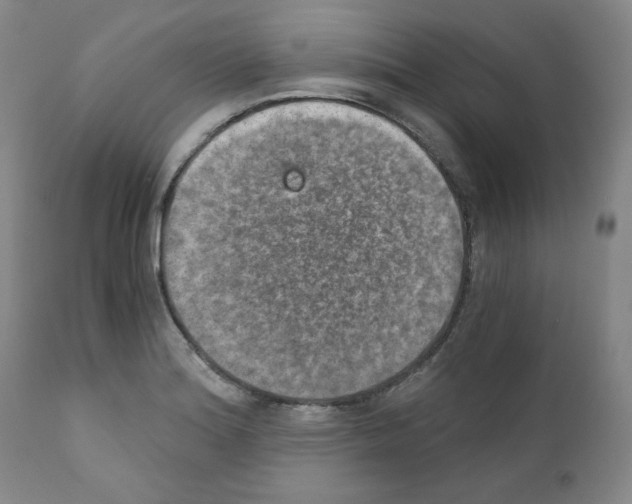 X0000110891180200907301535