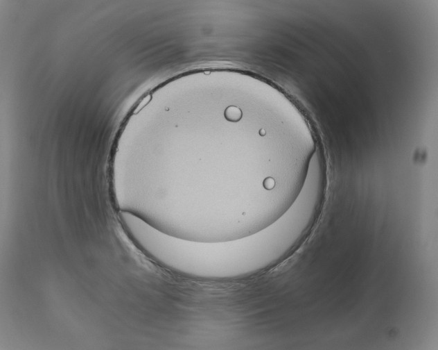 X0000110891181200907301535
