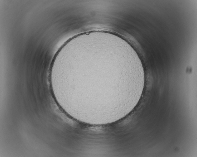 X0000110891182200907301535