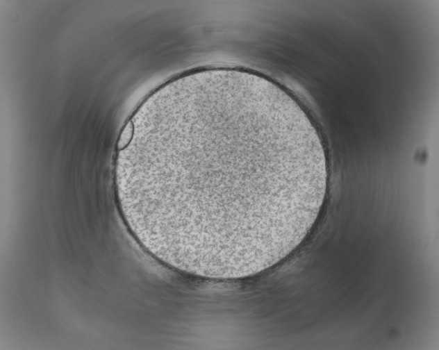 X0000110891183200907301535