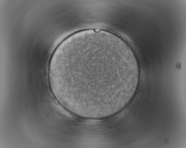 X0000110891184200907301535