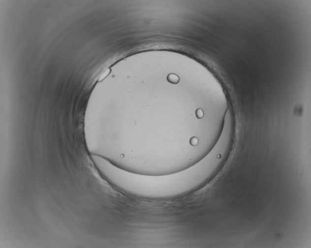 X0000110891185200907301535