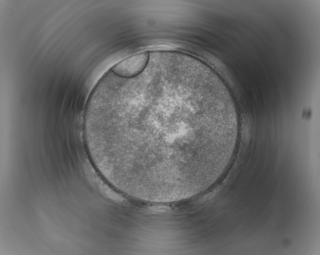 X0000110891186200907301535