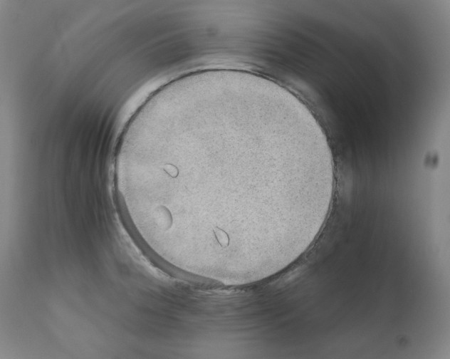 X0000110891188200907301535