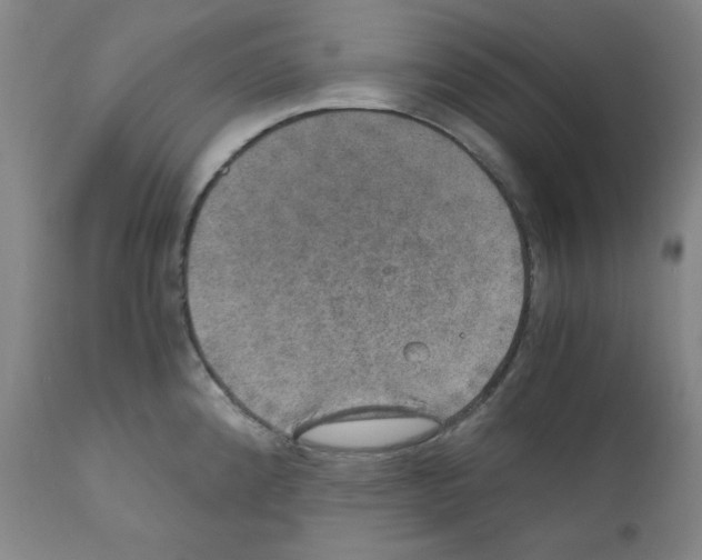 X0000110891192200907301534