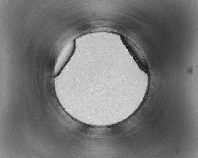 X0000110891193200907301534