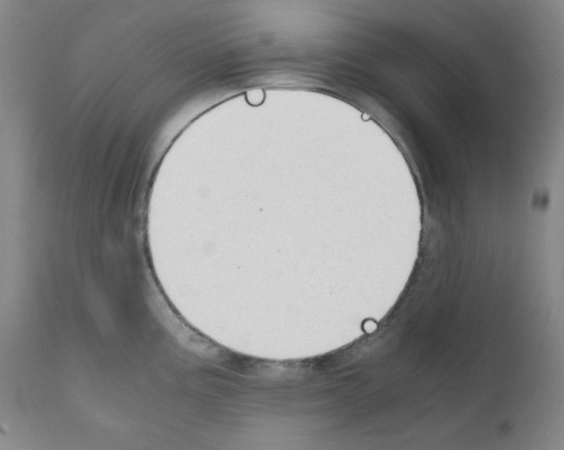 X0000110891195200907301534