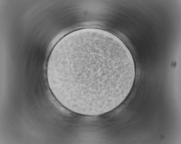 X0000110891196200907301534