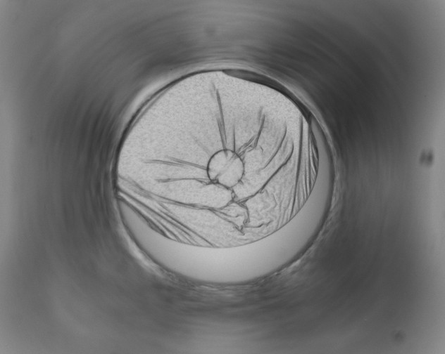 X0000110891197200907301534
