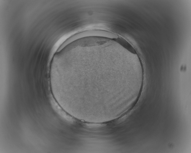 X0000110891200200907301534