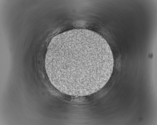 X0000110891201200907301534