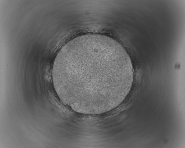 X0000110891202200907301534