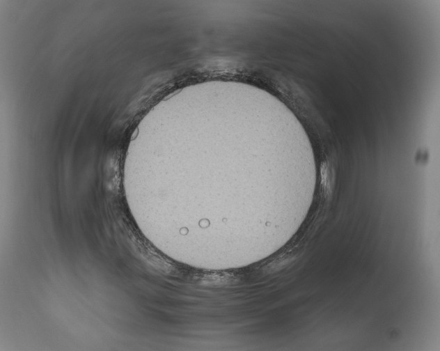 X0000110891203200907301534
