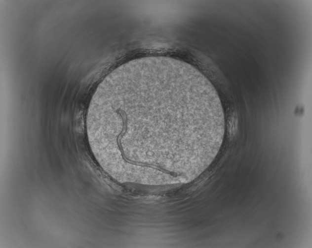 X0000110891204200907301534