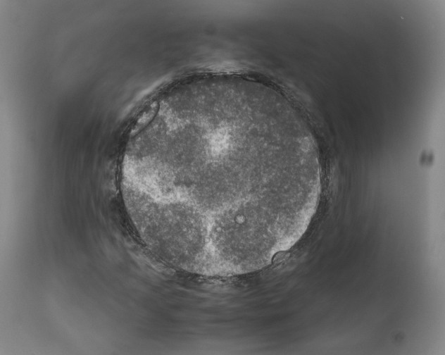 X0000110891205200907301534