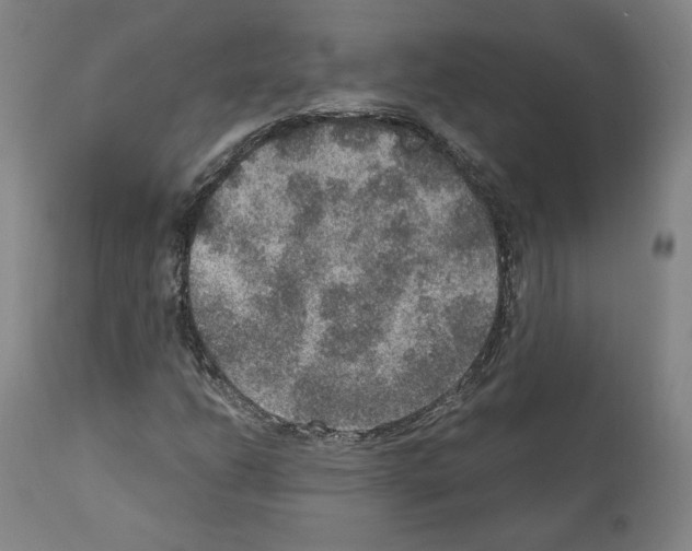 X0000110891206200907301534