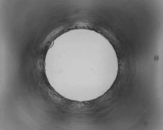 X0000110891207200907301534