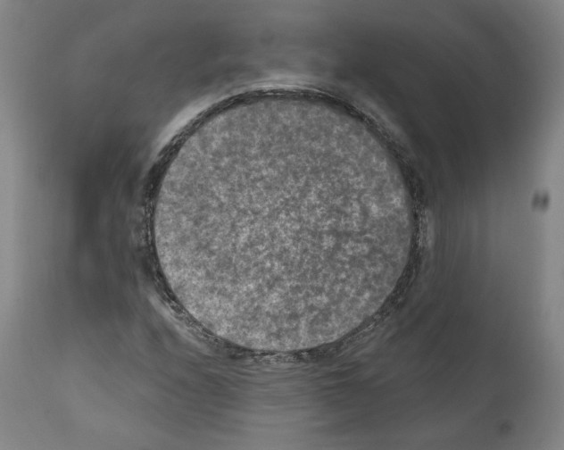 X0000110891208200907301534