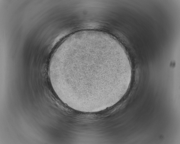 X0000110891210200907301534
