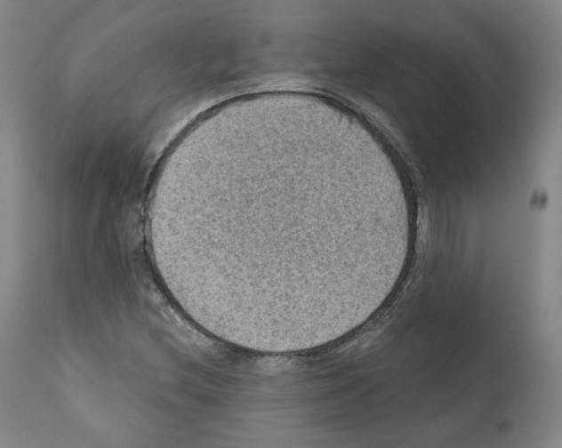 X0000110891212200907301534