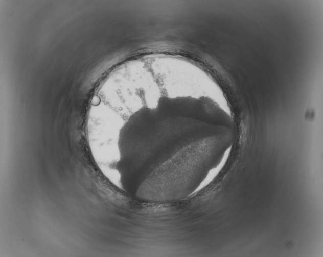 X0000110891213200907301534
