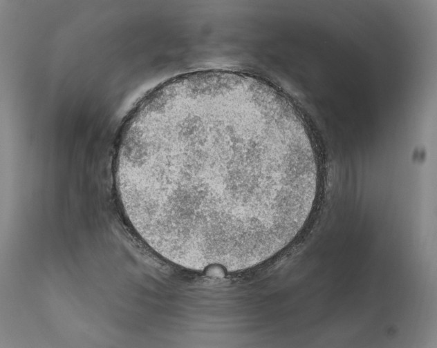 X0000110891214200907301534