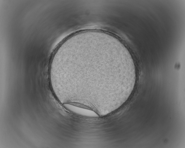 X0000110891216200907301534
