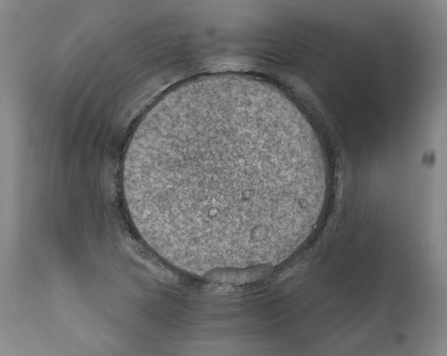 X0000110891217200907301534