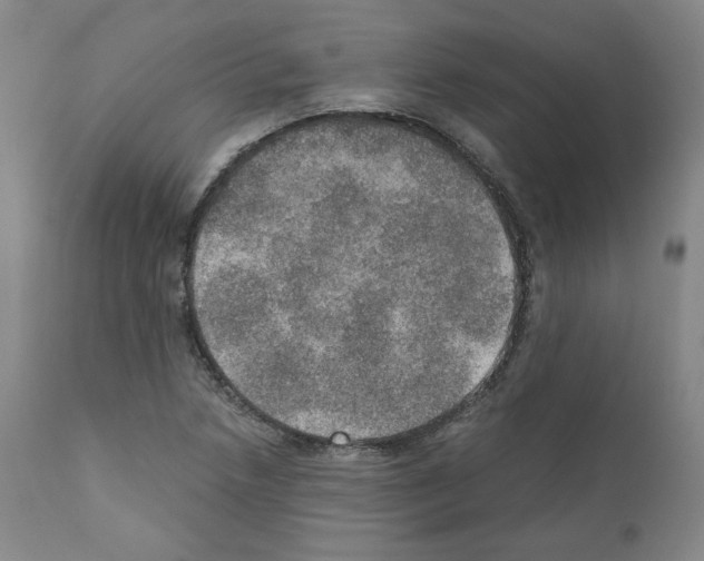 X0000110891218200907301534