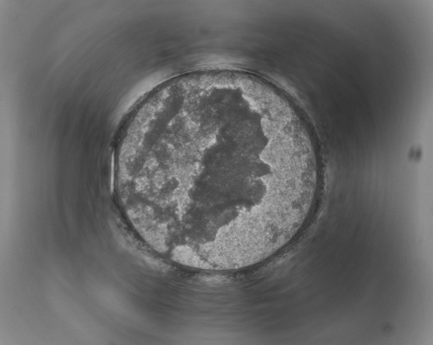X0000110891219200907301534