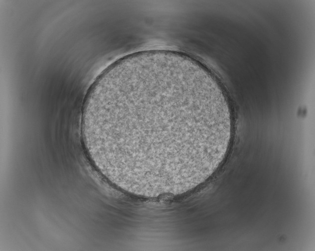 X0000110891220200907301534