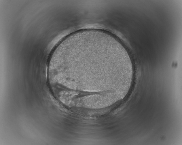 X0000110891221200907301534
