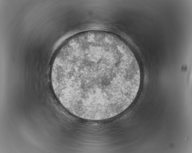 X0000110891222200907301534