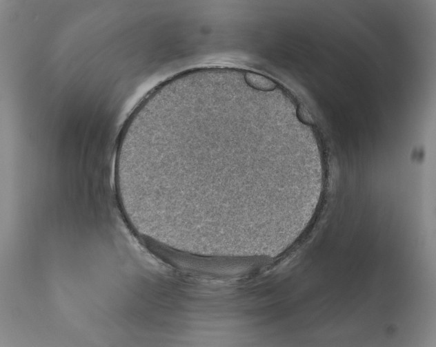 X0000110891224200907301534