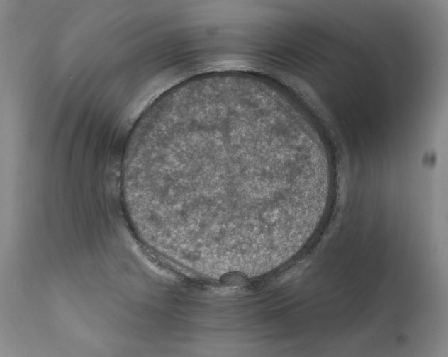 X0000110891225200907301534