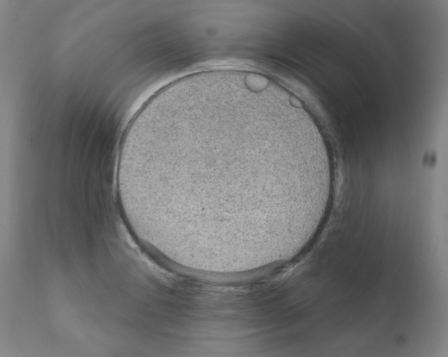 X0000110891228200907301534