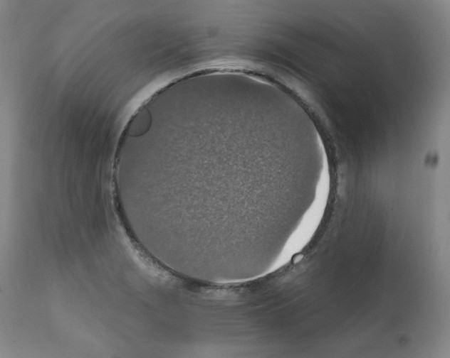X0000110891229200907301534