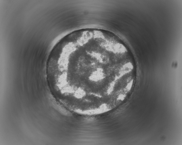 X0000110891230200907301534