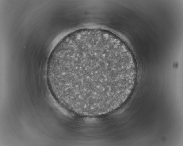X0000110891231200907301534