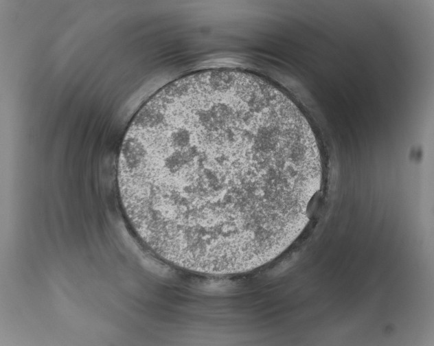 X0000110891233200907301534
