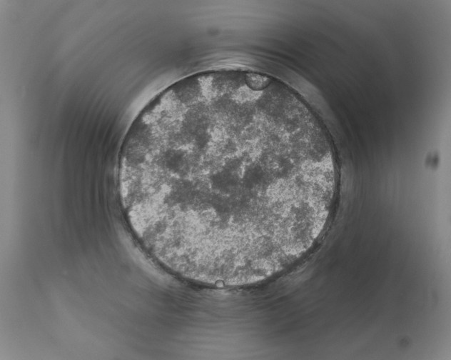 X0000110891234200907301534