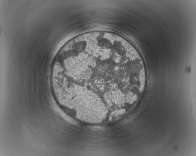 X0000110891235200907301534